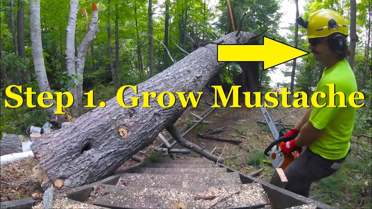 Arborist Techniques: Tension/Compression 5 Step technique for big wood 