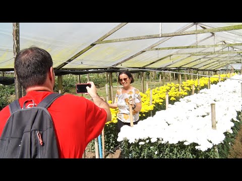 Você sabia? Circuito das Flores é a nova atração turística de Nova Friburgo