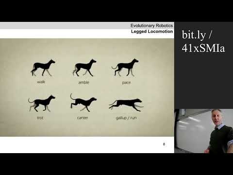 2025 Evolutionary robotics course. Lecture 16. Bipedal locomotion.