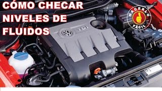 Cómo Checar Niveles De Fluidos En Autos: Aceite, Frenos, Transmisión y Anticongelante