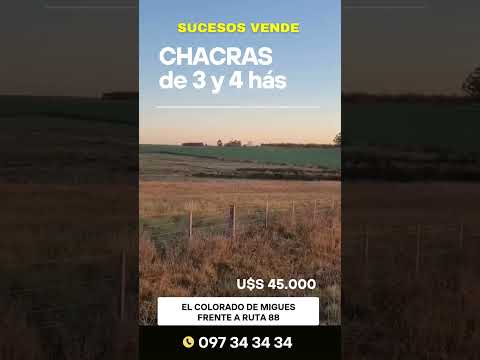 CHACRAS DE 3 Y 4 HAS EN EL COLORADO DE MIGUES FRENTE A RUTA 88