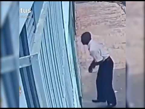 FIRULAIS “ROBA” BIBLIA