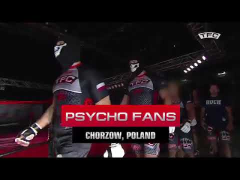 Poland vs Sweden MMA fight