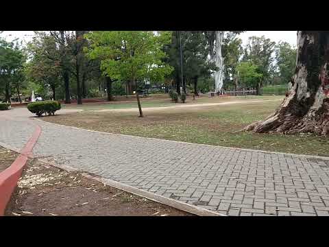 2021 11 01 Parque Sarmiento Cordoba