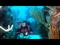 April 8, song: young oceanographer had an ocean