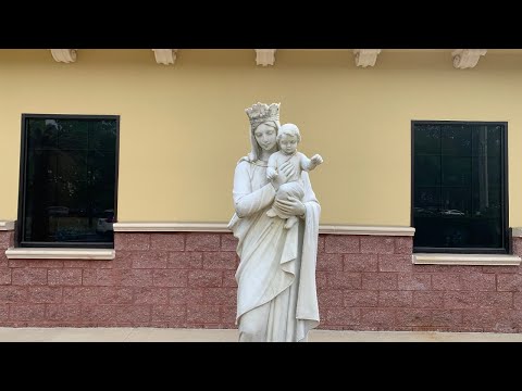 Sunday 10:00 Mass | August 2, 2020 - 18th Sunday in Ordinary Time