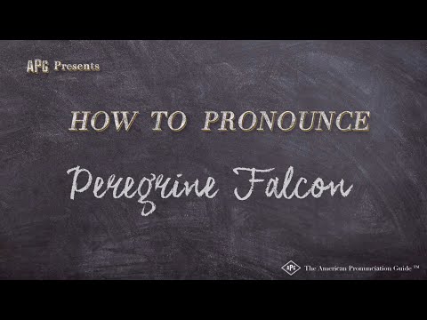 How to Pronounce Peregrine Falcon (Real Life Examples!)