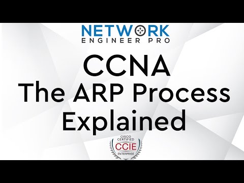 ARP - Address Resolution Protocol Explained  - CCNA 200-301
