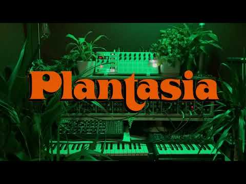 Plantasia | Mort Garson Synthesizer Cover