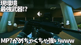 【EFT】巷で流行っているMP7を使ったらラボでキルしまくり！