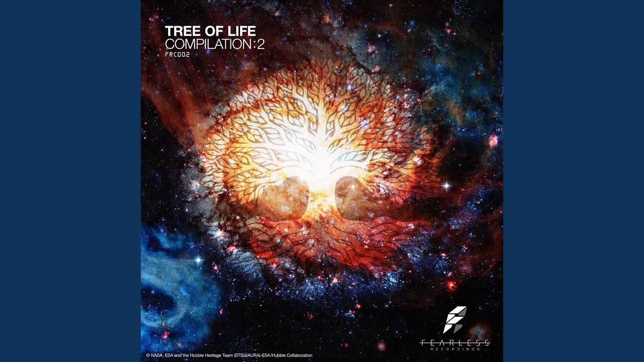 Signal Processing (OriginalMix)