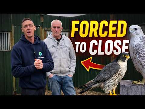 Inside A Falcon Breeding Facility Being Forced To Shut Down