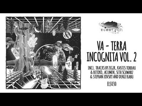 Ziger - Transparent [Eleatics Records]