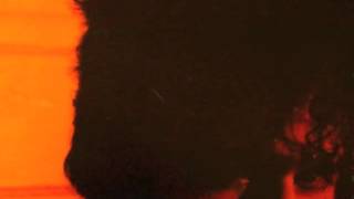 Do The Robot - Tav Falco's Panther Burns