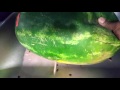 How You Know Your Watermelon Has Gone Bad