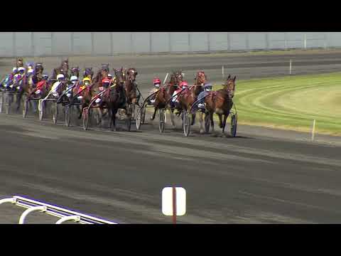 Grand National du Trot Paris-Turf 2020 - Etape 5 Le Croisé Laroche - La course - FLECHE DU YUCCA