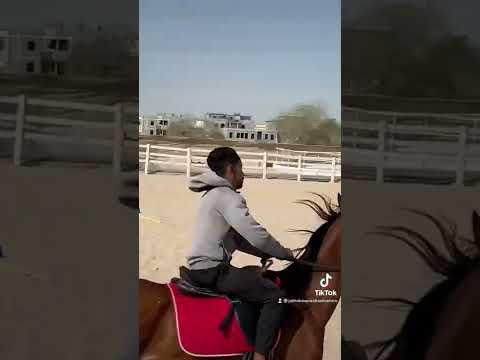 مركز جذاب الرياضى للفروسيه3034 3641https://goo.gl/maps/9y5ZxxBSgmaxf1Yp9