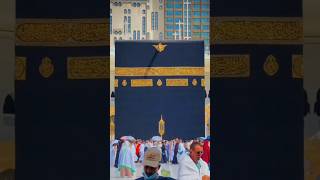 Download lagu Hasbii rabbi 🕋🎶… #Makkah #Madina #Muhammadsaw #Allah #Nasheed_qalbi#shorts #shortvideo mp3 Download lagu Hasbii rabbi 🕋🎶… #Makkah #Madina #Muhammadsaw #Allah #Nasheed_qalbi#shorts #shortvideo mp3