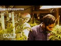 Won't Someone Grow Weed for the Children? | WEEDIQUETTE