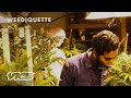 Won T Someone Grow Weed For The Children WEEDIQUETTE
