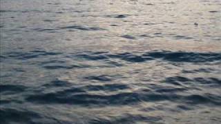 Spring flowers, sea and Andante from Sinfonia of Tommaso Albinoni in G Major