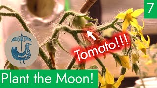 Plant the Moon with Team Rainbird! EP 7