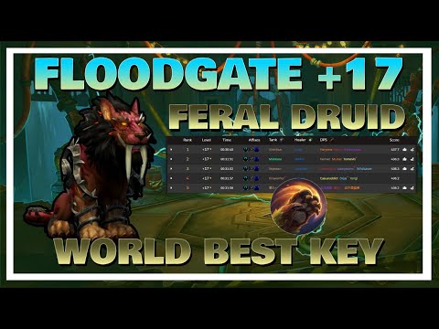FLOODGATE M+17 FERAL POV - WORLD BEST KEY WITH 701 ILVL