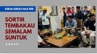 Download lagu HARD WORK OF MADURA SULTAN HAJI HER SORTING TOBACCO FROM ISHA TO DAWN | TOBACCO PRICES 2025 mp3
