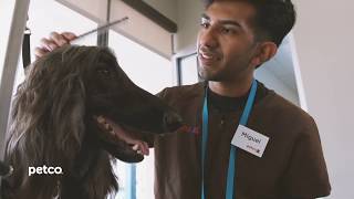 Petco Professional Dog Grooming | Testimonial | Austin, TX