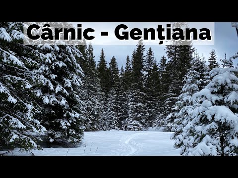Drumeție de iarnă în Retezat (Cârnic - Gențiana)