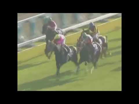 2007年～2017年阪神ジュベナイルフィリーズ