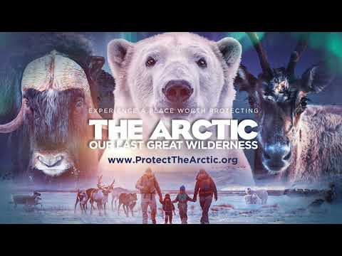 The Arctic: Our Last Great Wilderness | Official Trailer