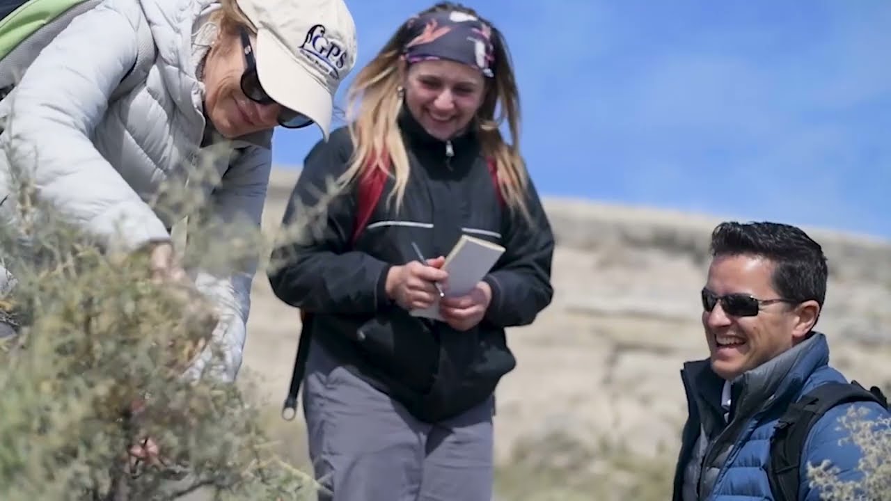 Thumbnail of the video