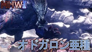 【MHWI実況】兇終隙末 ~オドガロン亜種編~【モンハンワールド アイスボーン】
