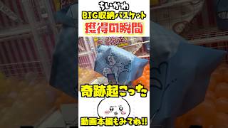 【ちいかわクレゲ】絶対許さない。BIG収納バスケット獲得の瞬間！ #ちいかわ #ちい活 #クレーンゲーム #UFOキャッチャー #プライズ #chiikawa #ちいかわグッズ #クレゲ