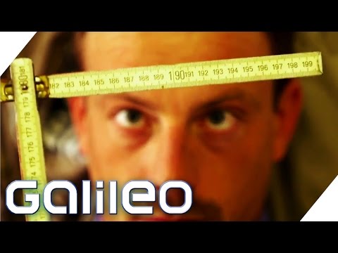 Traumwohnung finden -  trotz Wohnungsmangel | Galileo Lunch Break