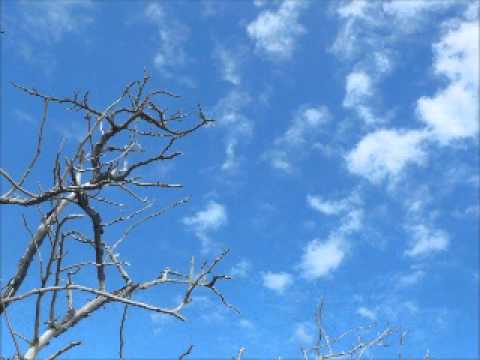 Kate Lesing - Neverland (Thymu bootleg)