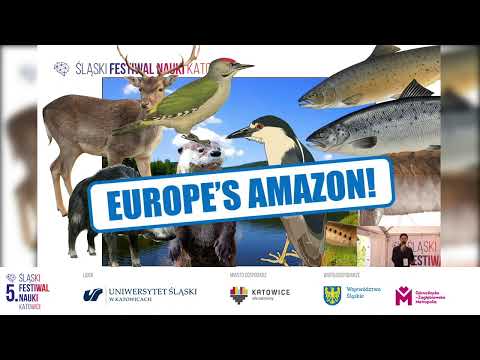 5. ŚFN KATOWICE: Russell Arnott - Z Rawy do Bałtyku