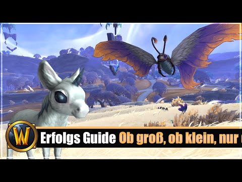 Erfolgs Guide: Ob groß, ob klein, nur durch Liebe kann ein Tierchen glücklich sein
