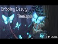 Crippling Beauty [Timelapse] TW: GORE