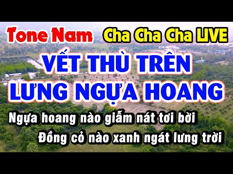 Karaoke Vết Thù Trên Lưng Ngựa Hoang Tone Nam Cha Cha Cha Drum Jazz LIVE Long Ẩn 9669