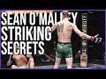 Why Sean O Malleys Striking Is Insane Explained In 5 Minutes