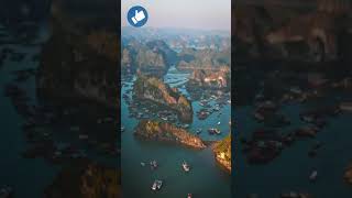 Cat Ba island, Halong bay Vietnam #Shorts