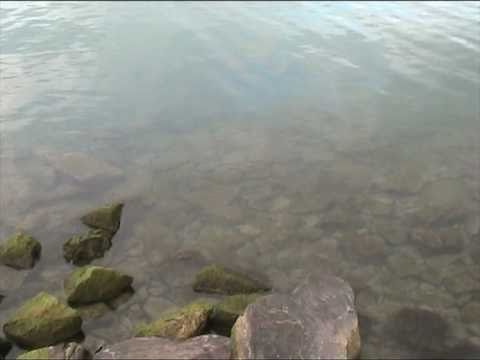 Erik Satie: Gymnopedie No 1 - for flute cello and piano