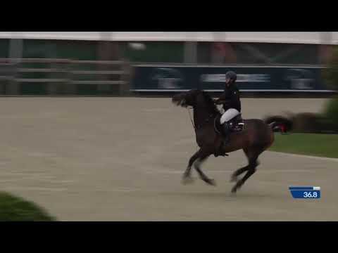 Cristobald d'Elifine (EL BARONE 111 Z x VIGO D'ARSOUILLES) - Video 7 video thumbnail