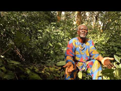 Muž, který sází stromy - Tour de Czech