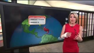 Dylan Dreyer Booty Profiles Galore