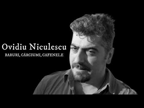 Ovidiu Niculescu Baruri, cârciumi, cafenele