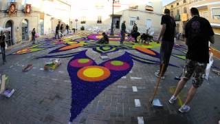 preview picture of video 'ALFOMBRAS DE SERRÍN = ELCHE DE LA SIERRA 2012 - 7'