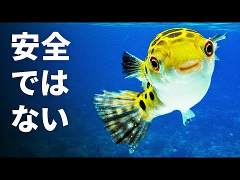 ブラジルで最も有毒な海洋動物